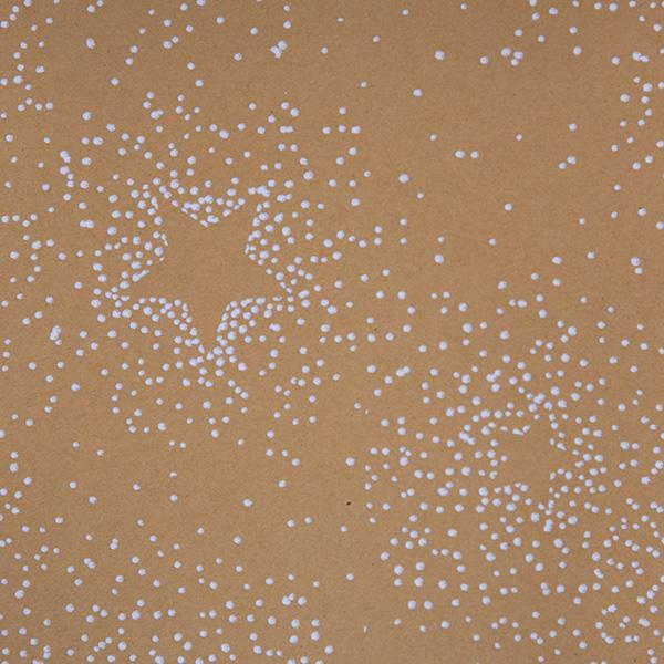 Papper 6220 Starry Snowfall (879 SEK)